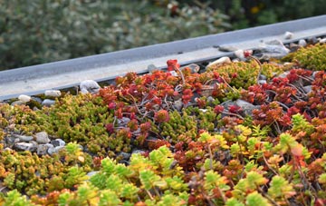 the cost of Sideway green roof installation