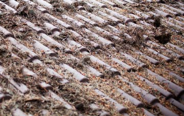 Sideway roof cleaning companies